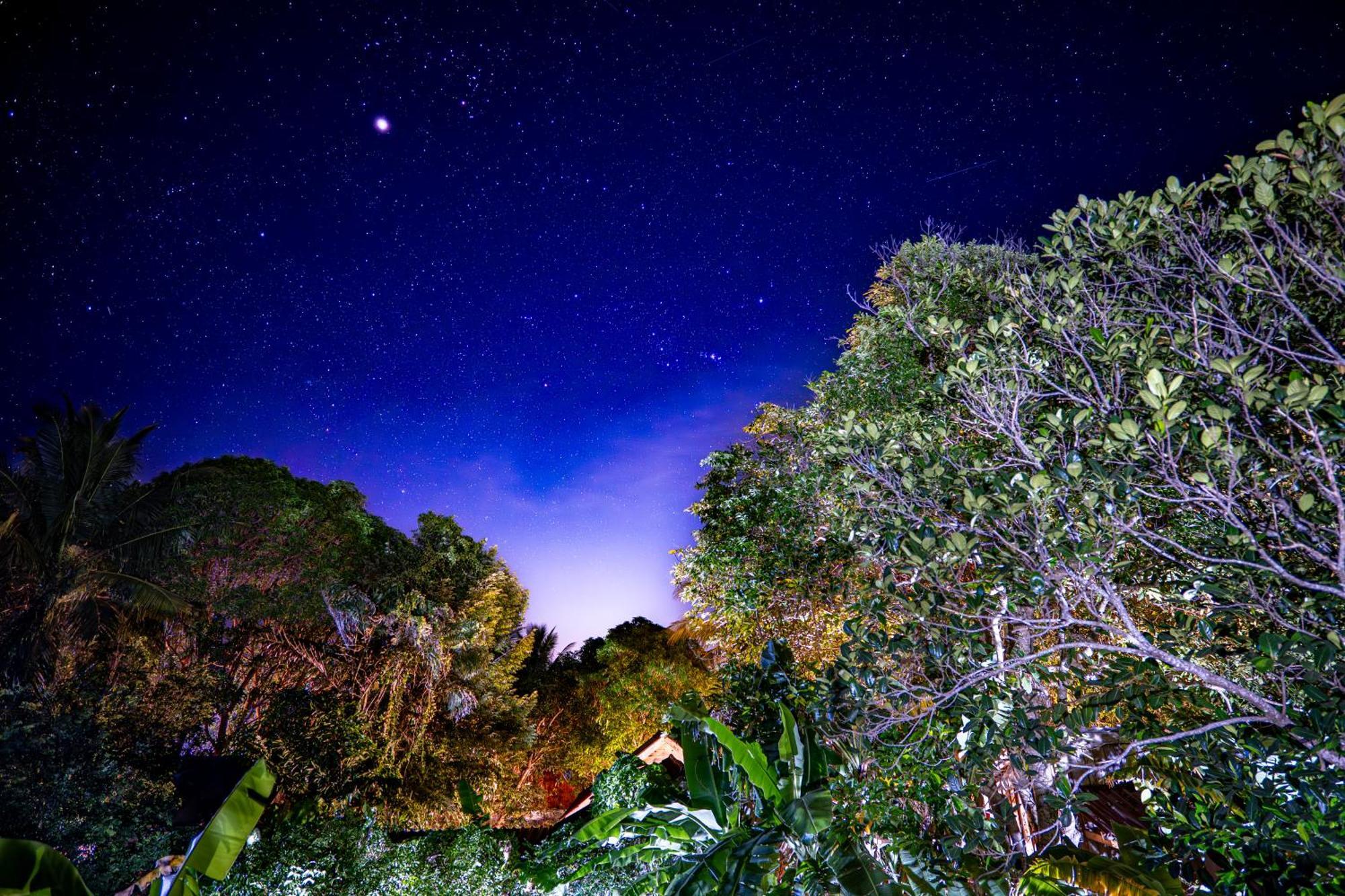 Easy Tiger - M'Pai Bay Beach, Koh Rong Sanloem Luaran gambar